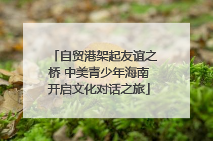 自贸港架起友谊之桥 中美青少年海南开启文化对话之旅
